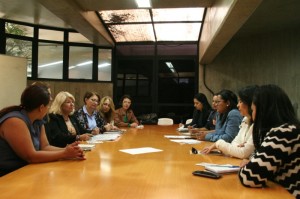 Conselho dos Direitos da Mulher em reunião na Câmara. Foto: Ricardo Bittner